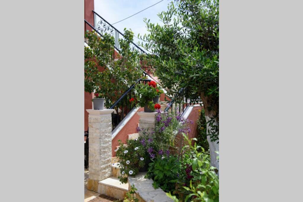 Seaview Cottage - Calmare Petriti  Exterior photo